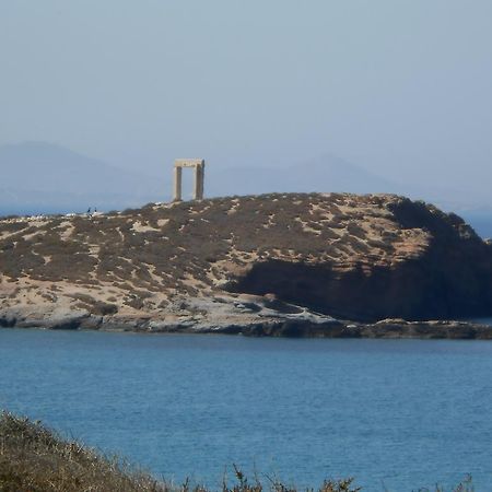 Naxos City Vasiliki'S House 아파트 외부 사진